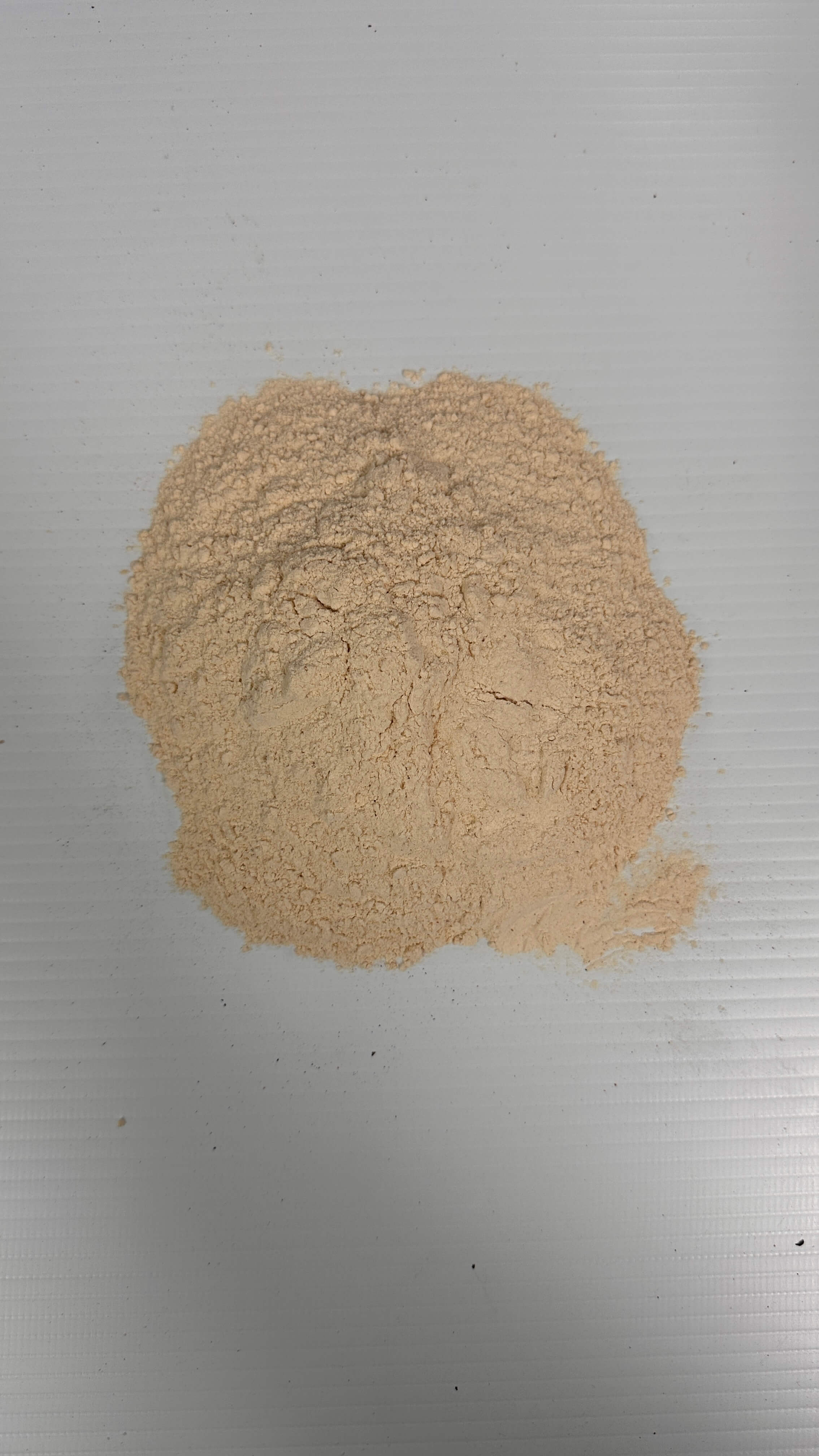 Beans Powder